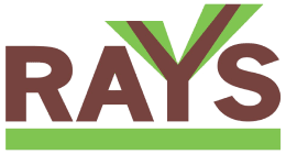 rays-logo2x